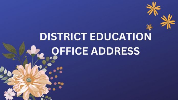 Tiruppur CEO Office Address